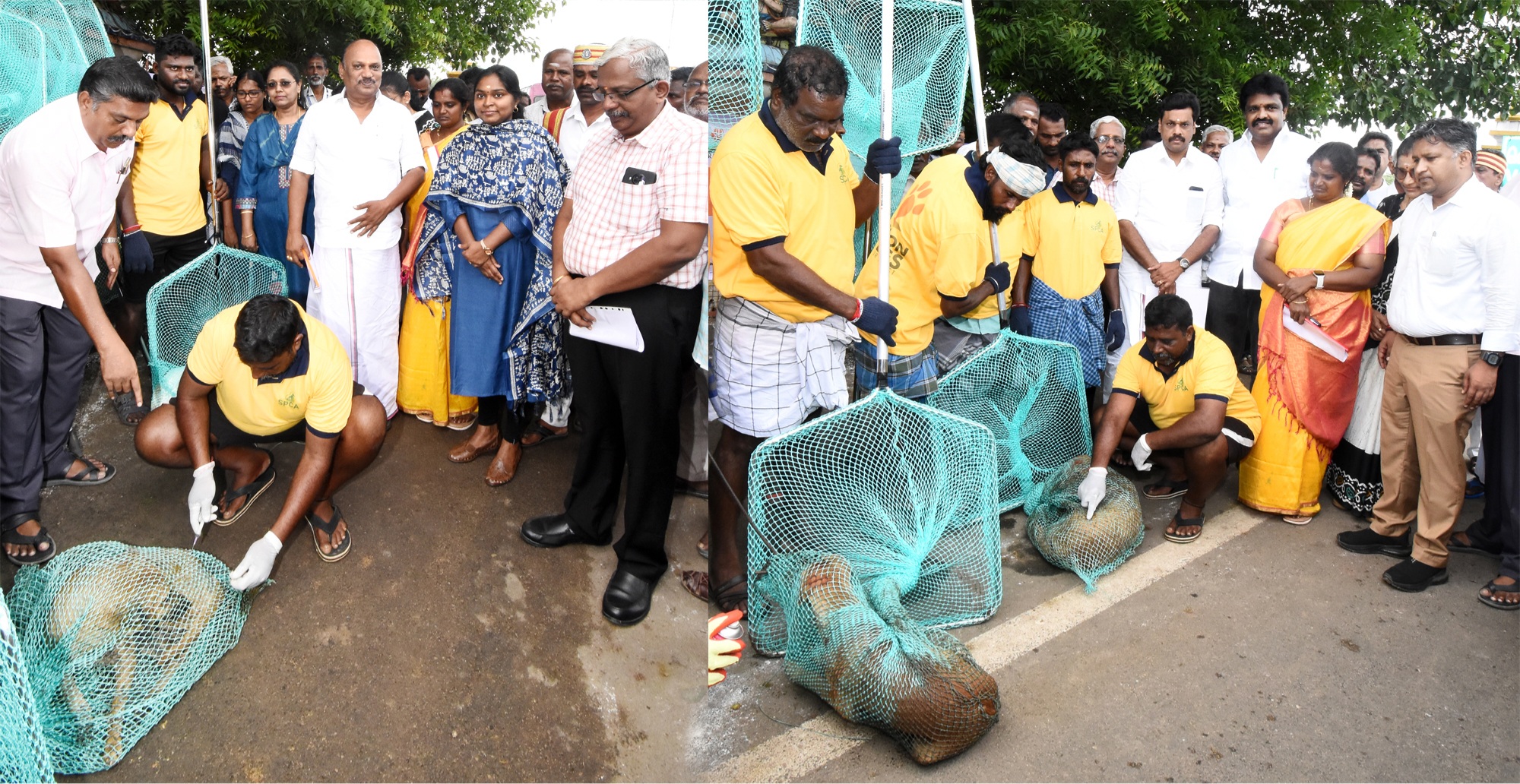 தஞ்சாவூரில் மிஷன் ரேபிஸ் வெறி நோய் தடுப்பூசி முகாமை மாவட்ட ஆட்சித்தலைவர் துவக்கி வைத்தார்.