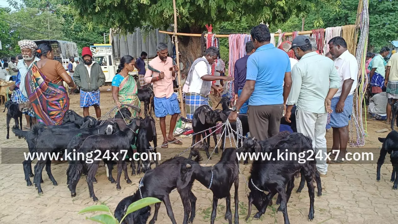 கம்பைநல்லூர் வார சந்தையில் விற்பனை ஜோர்