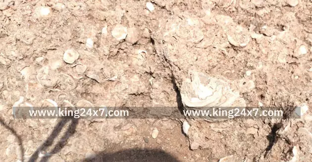 னையூரில் பாண்டியர் கால செயற்கைக் குளம் தடயங்கள் – ஆய்வு கோரிக்கை