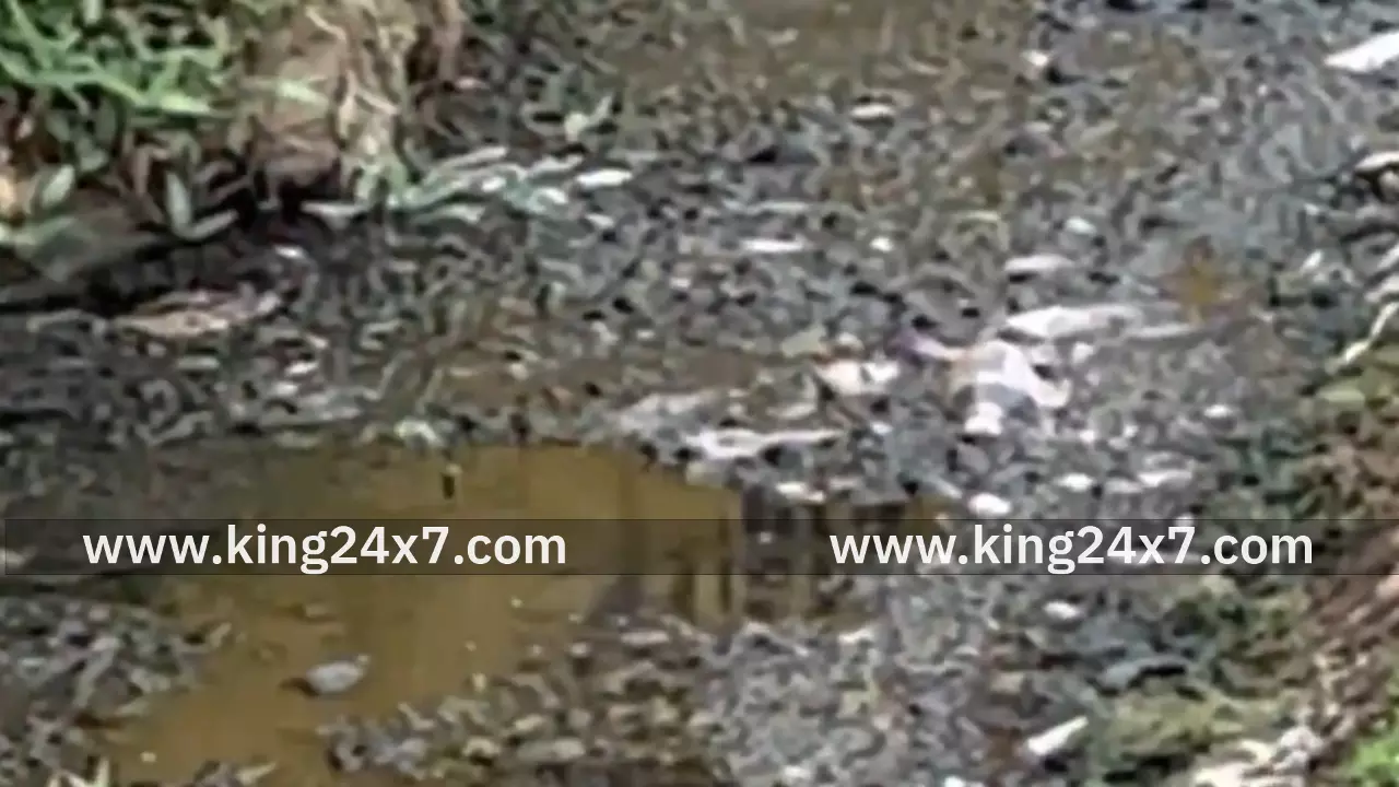 அறந்தாங்கி: சாக்கடை கழிவுநீர் தேங்கியுள்ளதால் தூர்நாற்றம்! அறந்தாங்கி: சாக்கடை கழிவுநீர் தேங்கியுள்ளதால் தூர்நாற்றம்!