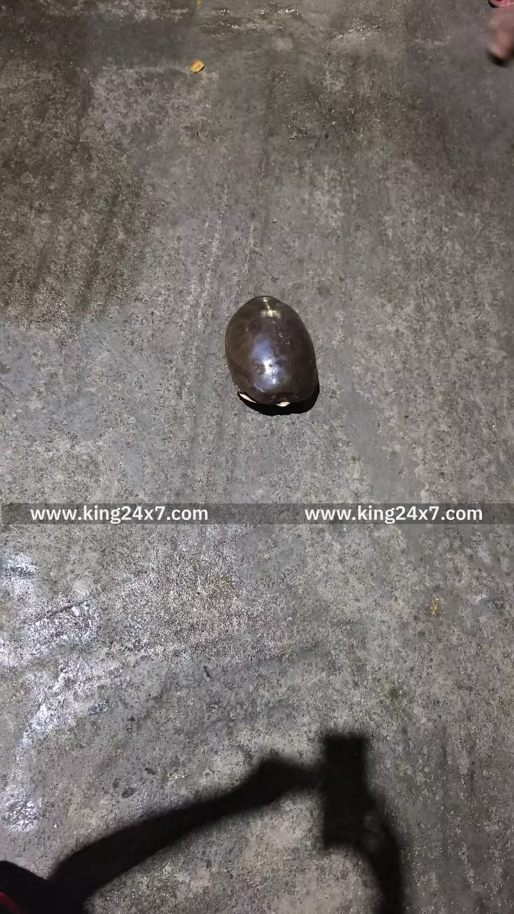 போளூர் டவுன் பகதூர் தெரு குடியிருப்புகள் அருகே ஆமை ஒன்று திடீரென நுழைந்ததால் பொதுமக்கள் அச்சமடைந்தனர்.