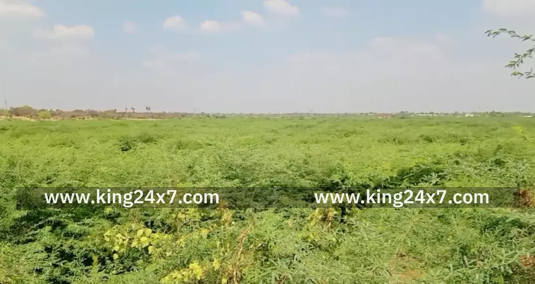 அண்ணா நகரில் பணம் வைத்து சூதாடிய 6 பேர் கைது. ரூ.1230 பறிமுதல். அண்ணா நகரில் பணம் வைத்து சூதாடிய 6 பேர் கைது. ரூ.1230 பறிமுதல்.