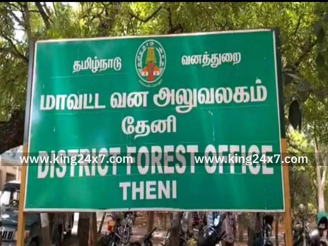 டூவீலர் விபத்தில் காட்டுப்பன்றி பலி டூவீலர் விபத்தில் காட்டுப்பன்றி பலி