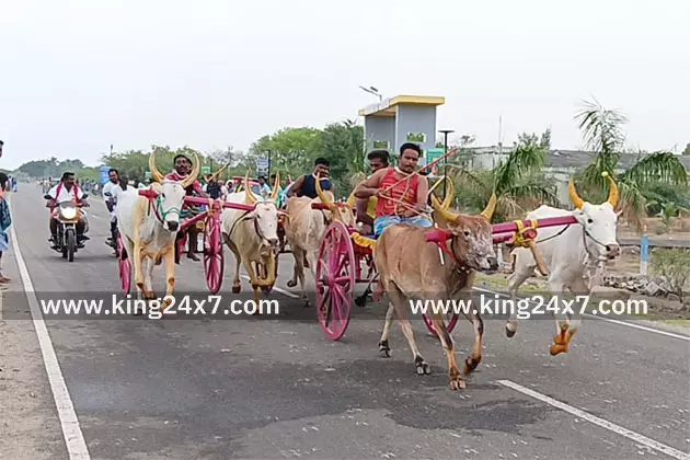 விஸ்வகர்மா ஜெயந்தி விழா: மாட்டு வண்டி போட்டி!