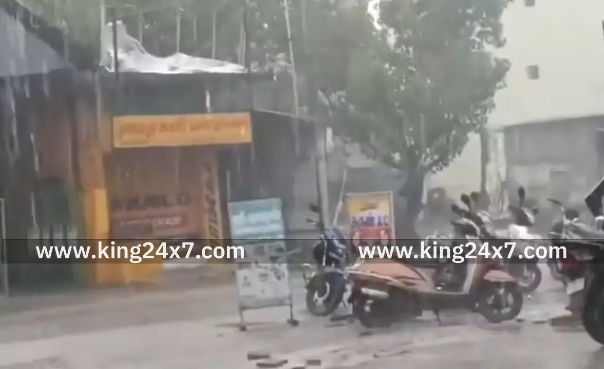 புதுக்கோட்டை மாவட்டத்தில் பெய்த மழை நிலவரம்