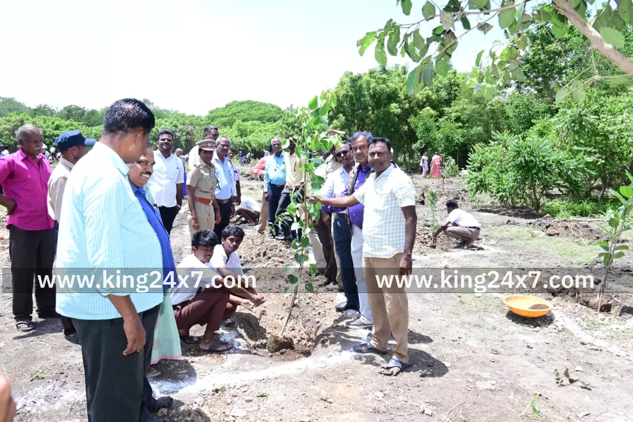 1000 மரக்கன்றுகள் நடப்பட்டன 1000 மரக்கன்றுகள் நடப்பட்டன