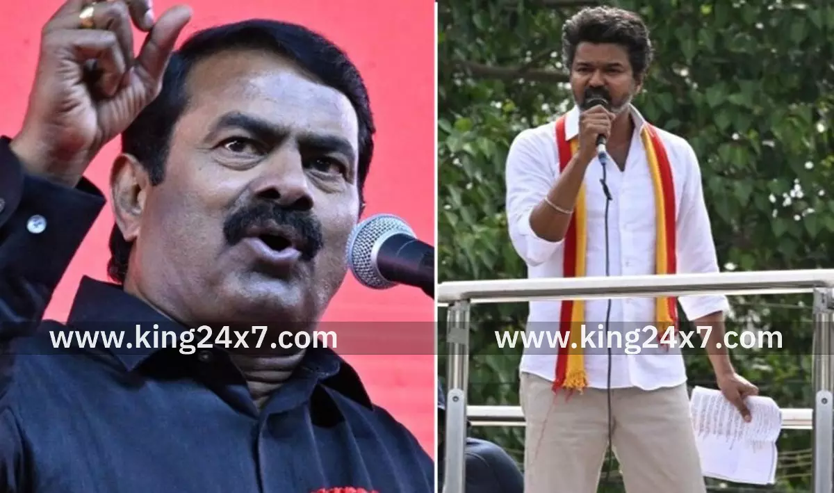 விஜய்க்கு அடிப்படை அரசியலே தெரியவில்லை: சீமான்