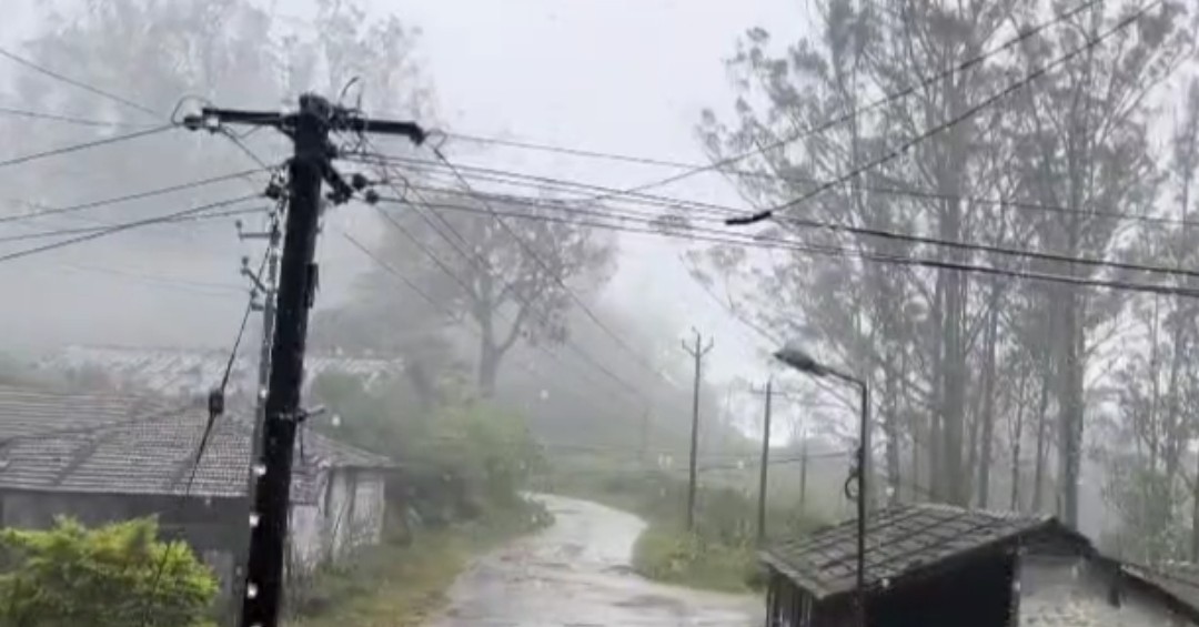 மாஞ்சோலை பகுதியில் பெய்த கனமழை