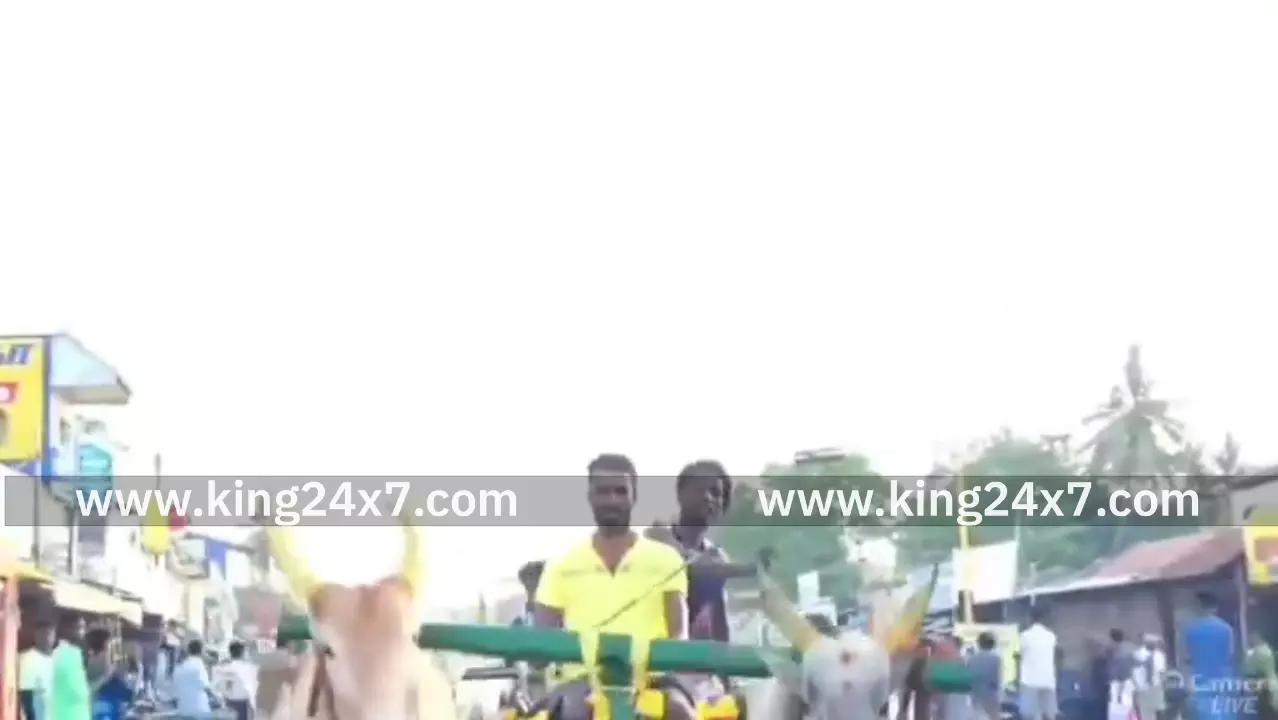 மீமிசல் :மாபெரும் மாட்டு வண்டி எல்கை பந்தயம்