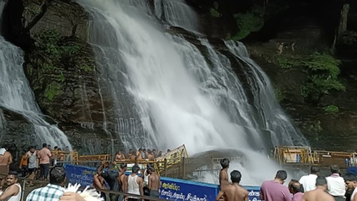 குற்றாலத்தில் குவியும் சுற்றுலா பயணிகள்