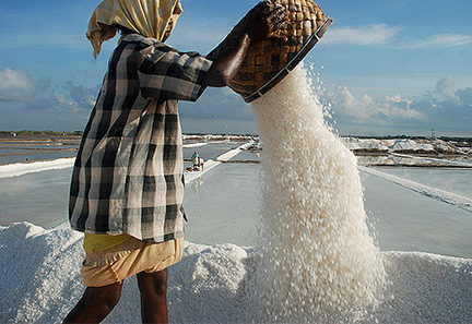 கப்பல் கட்டும் தளம் : உண்ணாவிரத போராட்டம் நடத்த முடிவு! கப்பல் கட்டும் தளம் : உண்ணாவிரத போராட்டம் நடத்த முடிவு!