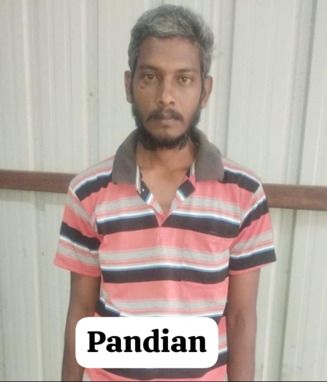 சோமனூரில் ஆடுகள் திருட முயன்ற 3 பேர் கைது ! சோமனூரில் ஆடுகள் திருட முயன்ற 3 பேர் கைது !