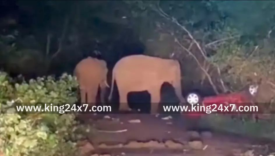 கோவை: காரை காட்டு யானைகள் உடைத்து சேதப்படுத்தியதால் பரபரப்பு ! கோவை: காரை காட்டு யானைகள் உடைத்து சேதப்படுத்தியதால் பரபரப்பு !