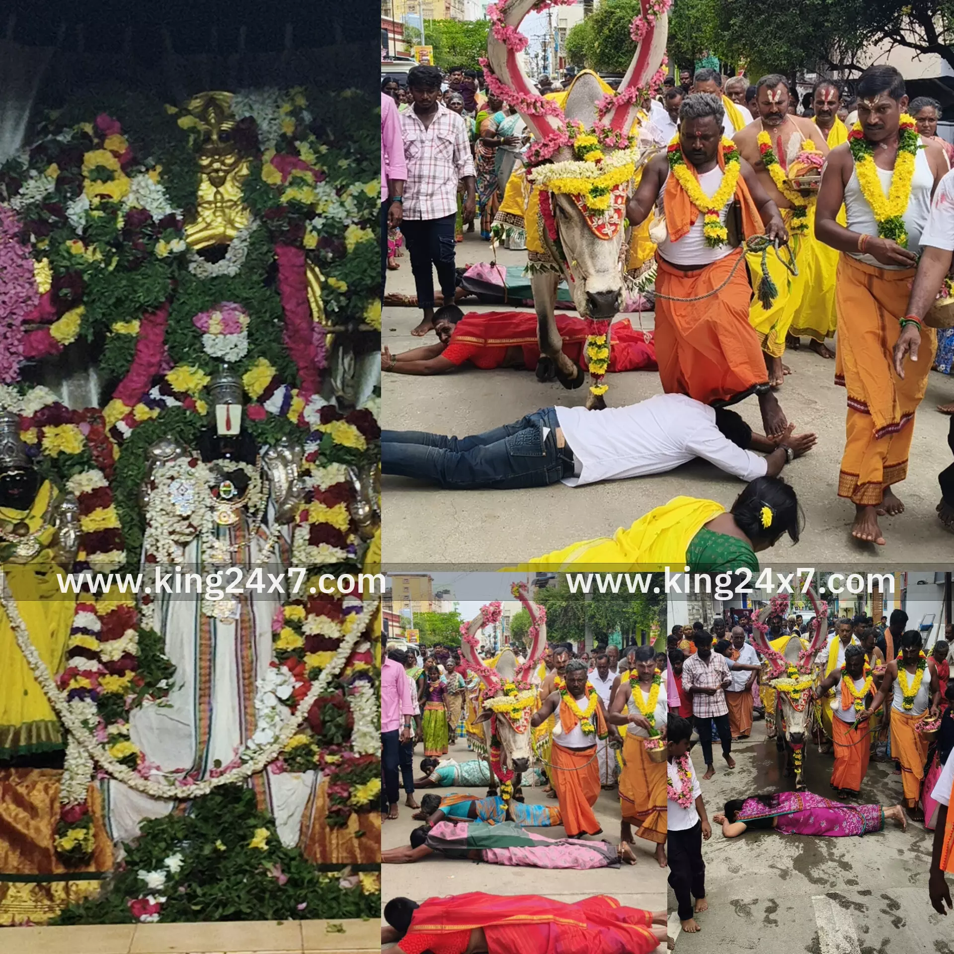 ராசிபுரம் பொன் வரதராஜ பெருமாள் கோவிலில் வெகு விமர்சையாக நடைபெற்ற பக்தர்கள் மீது மாடு தாண்டும் திருவிழா... ராசிபுரம் பொன் வரதராஜ பெருமாள் கோவிலில் வெகு விமர்சையாக நடைபெற்ற பக்தர்கள் மீது மாடு தாண்டும் திருவிழா...