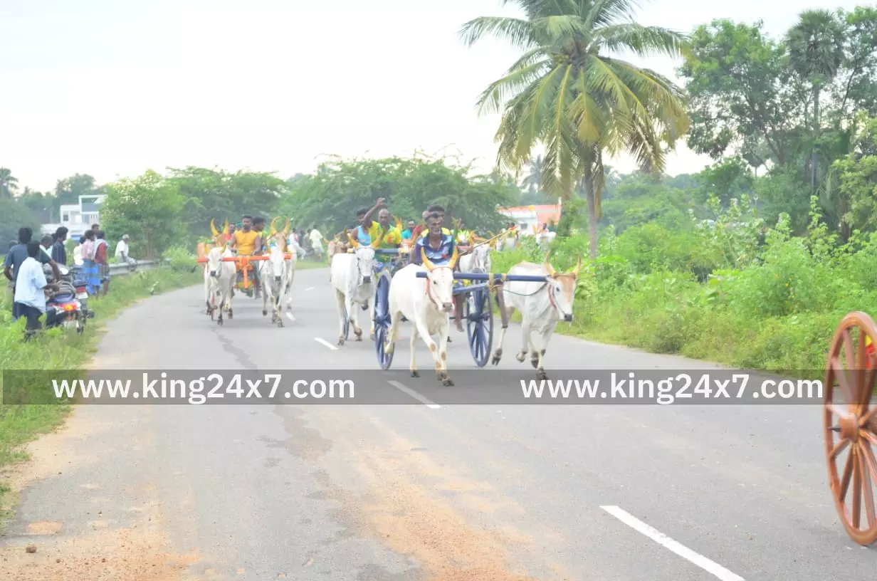 மேலூரில் மாட்டுவண்டி பந்தயம்.