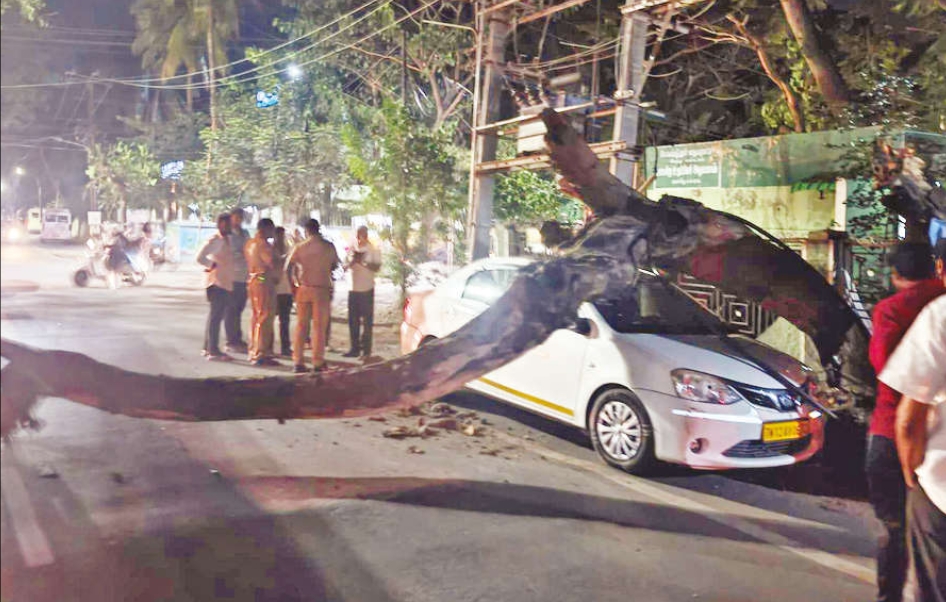 கோவை: கார் மீது மரம் சாய்ந்து விபத்து !