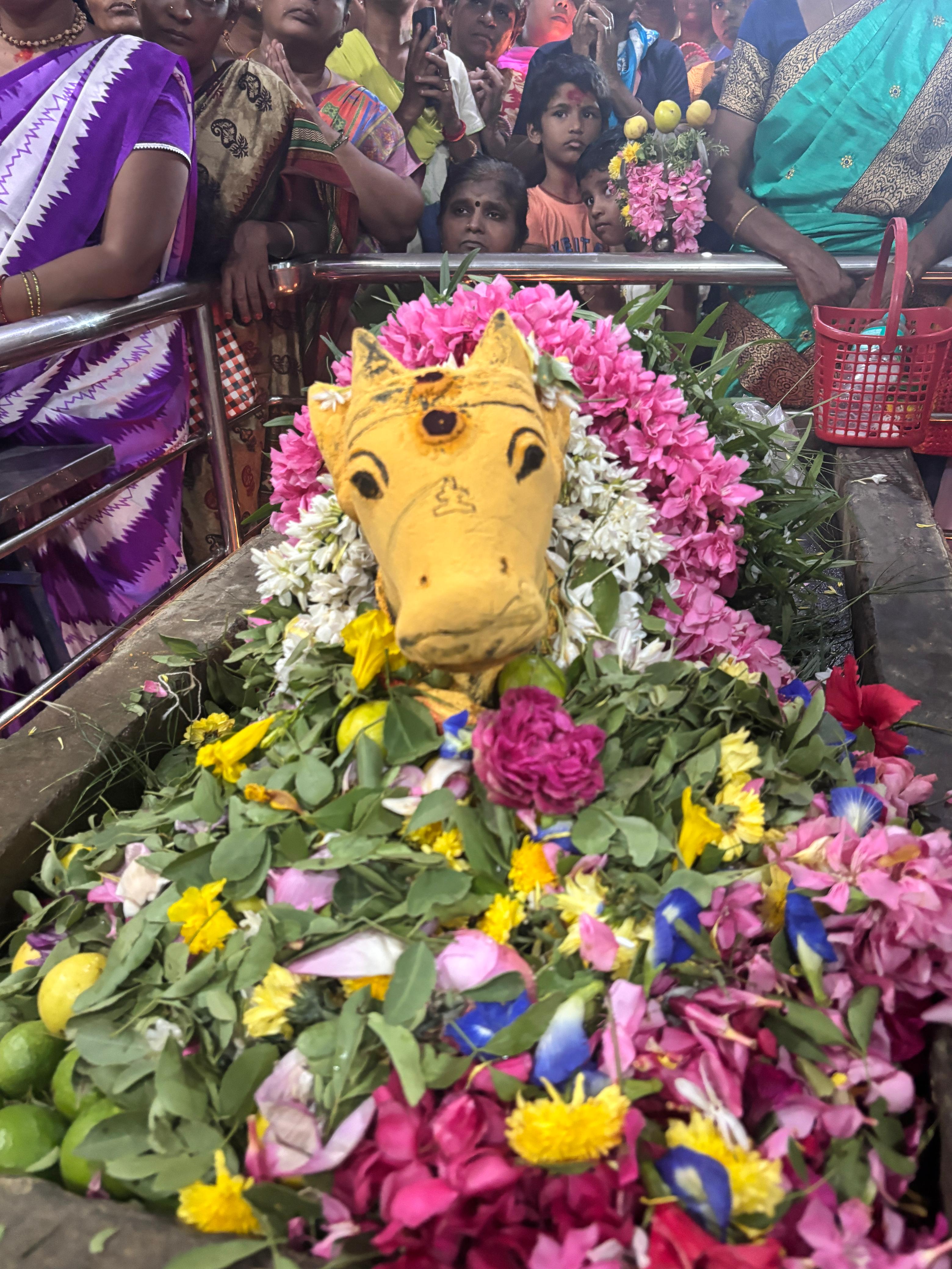 சிவன் கோவில்களில் பிரதோஷ  வழிபாடு