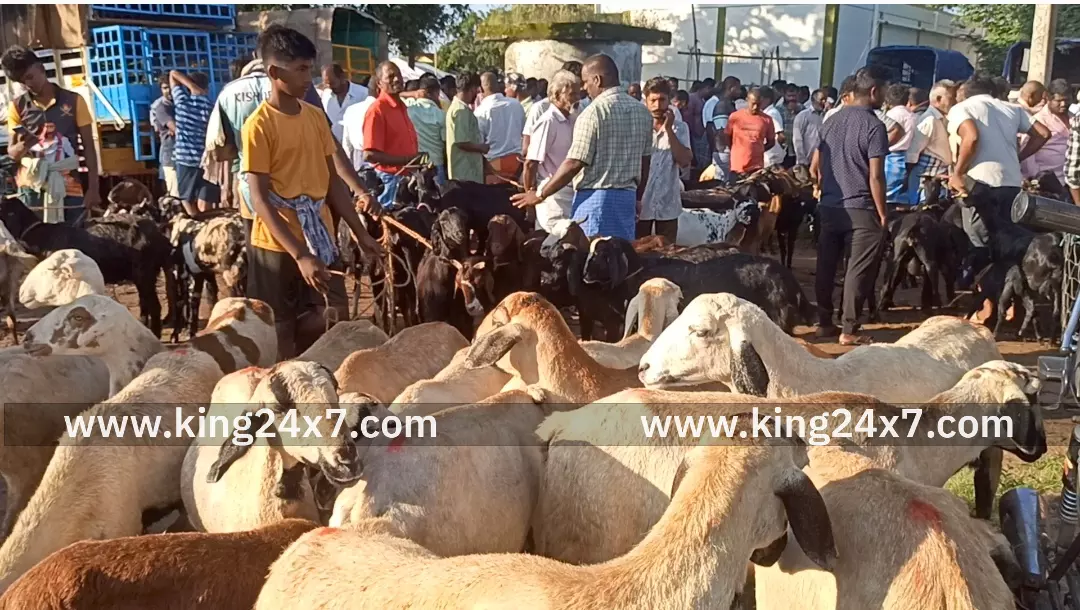 போச்சம்பள்ளி சந்தையில் ஆடுகள் வரத்து அதிகரித்த விலை சரிந்தது.