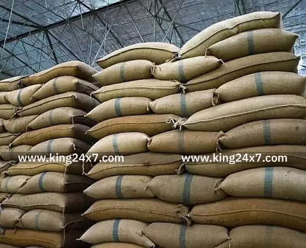 பண்ருட்டியில் சோளம் வரத்து அதிகரிப்பு