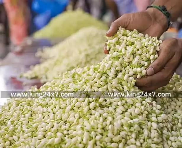 சங்கரன்கோவில் பூ மார்க்கெட்டில் இன்றைய விலை நிலவரம் சங்கரன்கோவில் பூ மார்க்கெட்டில் இன்றைய விலை நிலவரம்