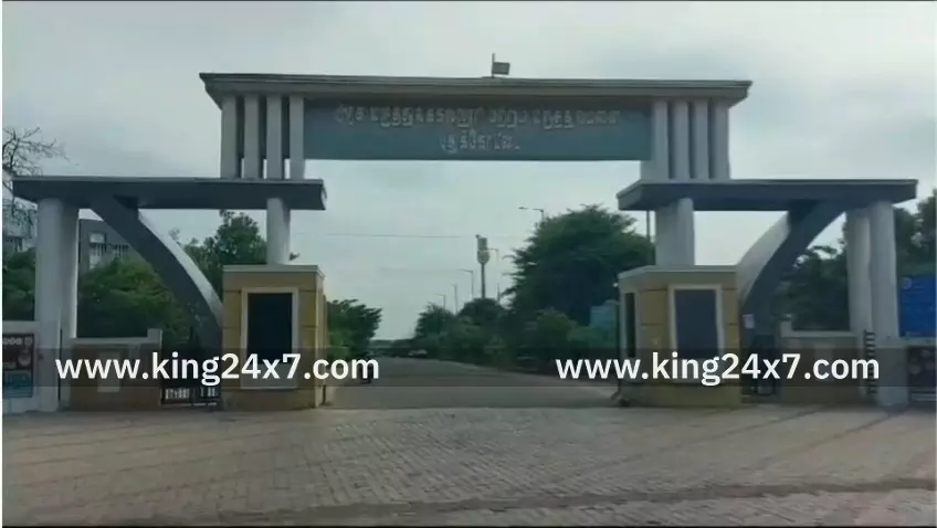 கர்ப்பிணி பெண்ணுக்கு டெங்கு காய்ச்சல்