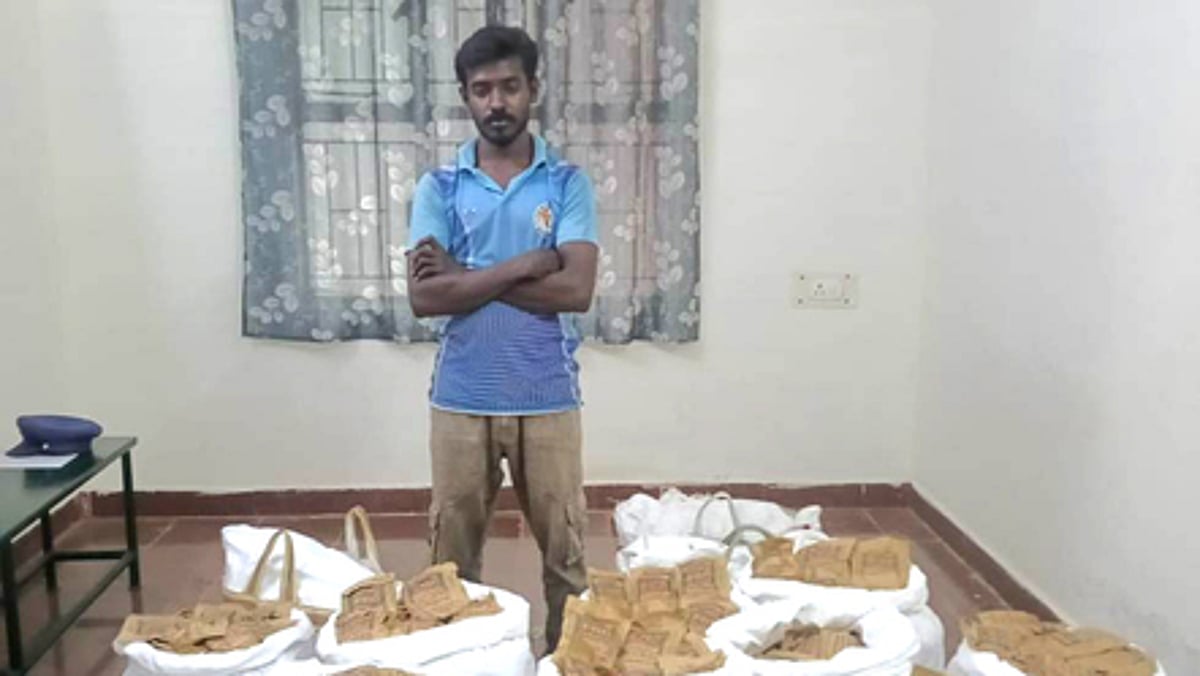 சங்கரன்கோவிலில்  புகையிலைப் பொருள்கள் பறிமுதல்: இளைஞா் கைது