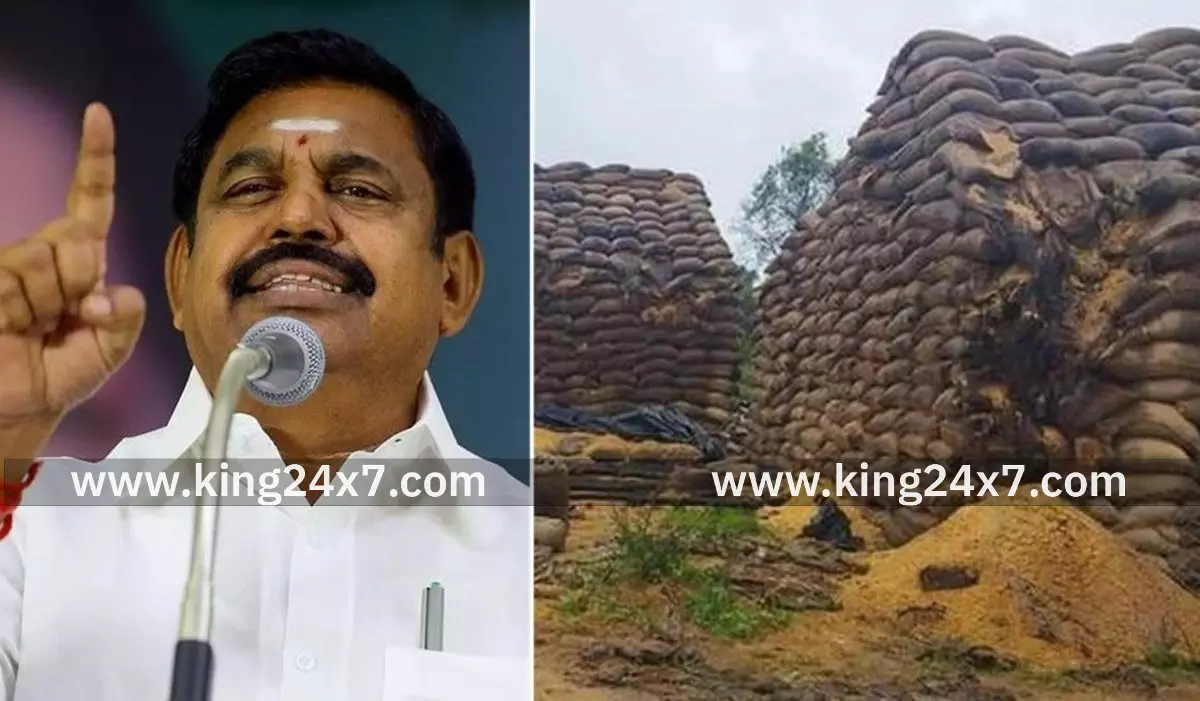 போர்க்கால அடிப்படையில் விவசாயிகளிடம் நெல் கொள்முதல் செய்க - அரசுக்கு இபிஎஸ் வலியுறுத்தல்