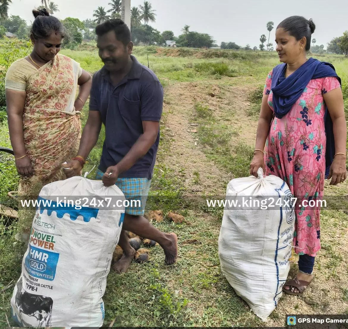 தமிழக  அரசு அறிவித்த 6 கோடி பனை விதை நடும் பணிக்காக, பனை விதைகள் சேகரிக்கும் பணியில் சமூக ஆர்வலர்கள்