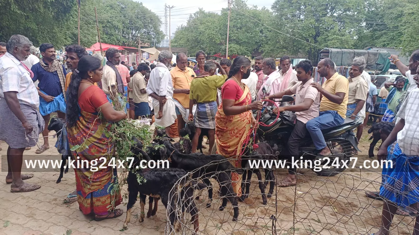 புளுதியூரில் கால்நடை விற்பனை ஜோர்