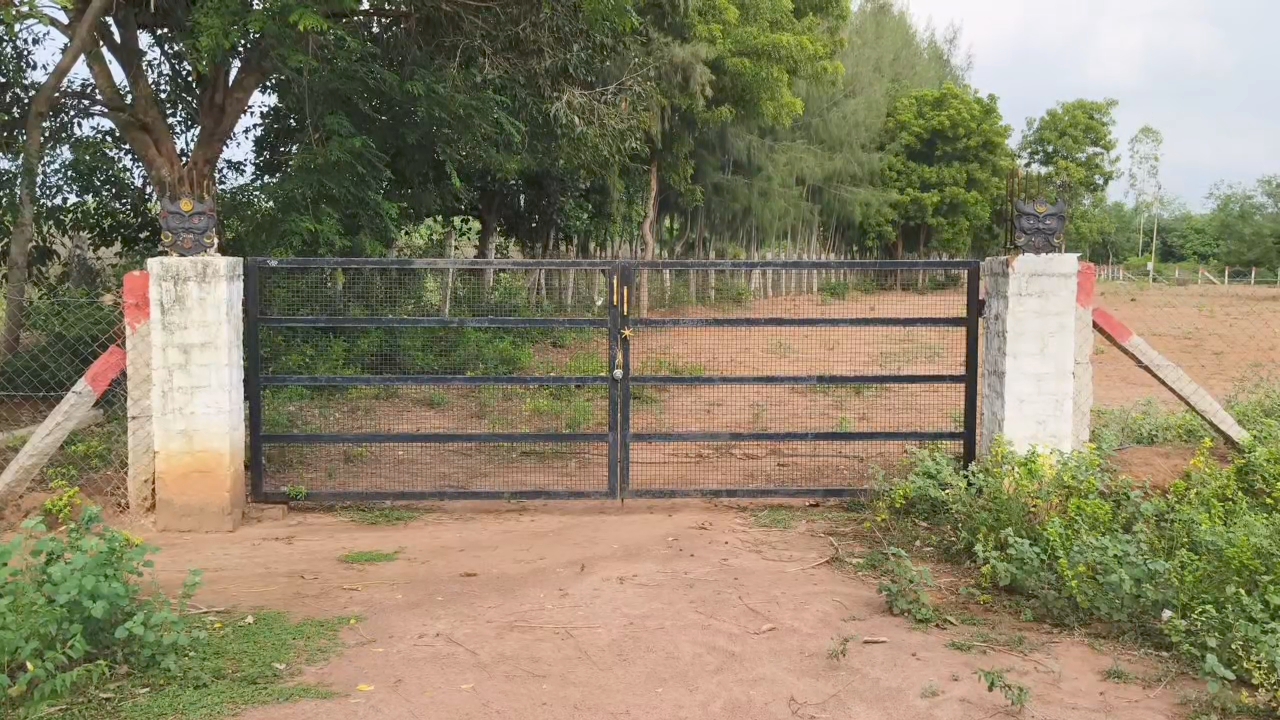 புதுக்கோட்டை: இரவிலும் தொடர்ந்த போராட்டம்