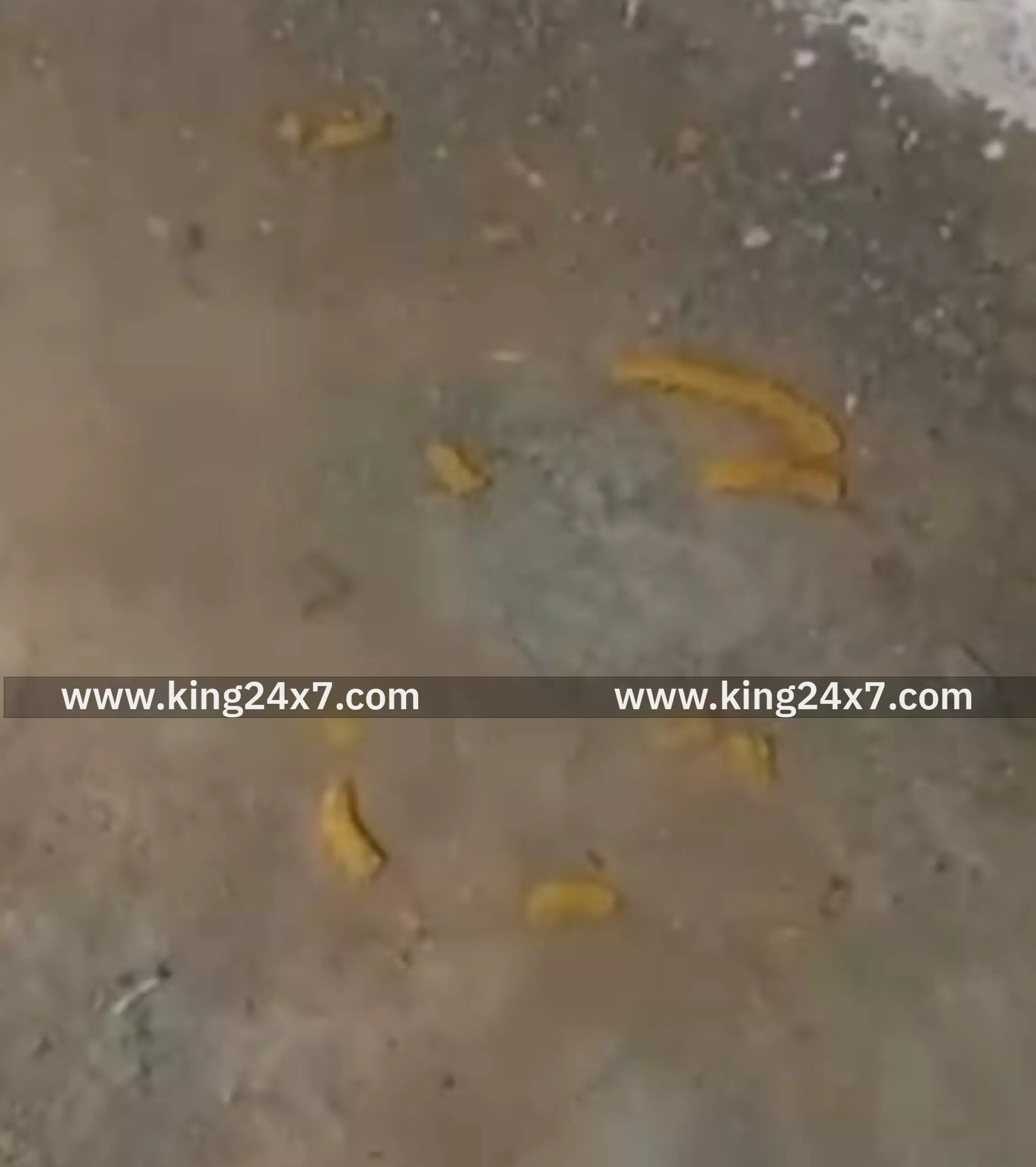 மேல்நிலை குடிநீர் தொட்டியில் மலம் கலப்பு மேல்நிலை குடிநீர் தொட்டியில் மலம் கலப்பு