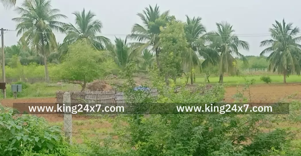 புள்ள கவுண்டம்பாளையத்தில் ஆடுகளை மேய்க்க சென்ற முதியவர் கிணற்றில் சடலமாக மீட்பு. புள்ள கவுண்டம்பாளையத்தில் ஆடுகளை மேய்க்க சென்ற முதியவர் கிணற்றில் சடலமாக மீட்பு.