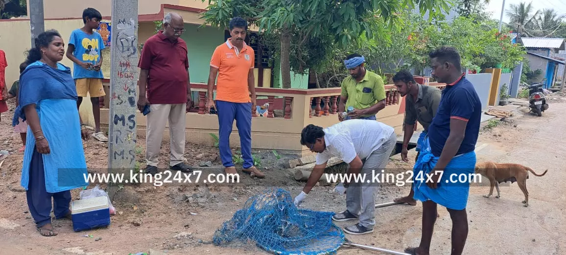 நாய்களுக்கு தடுப்பூசி போடும் பணியை ஆய்வு செய்த நகர மன்ற தலைவர்