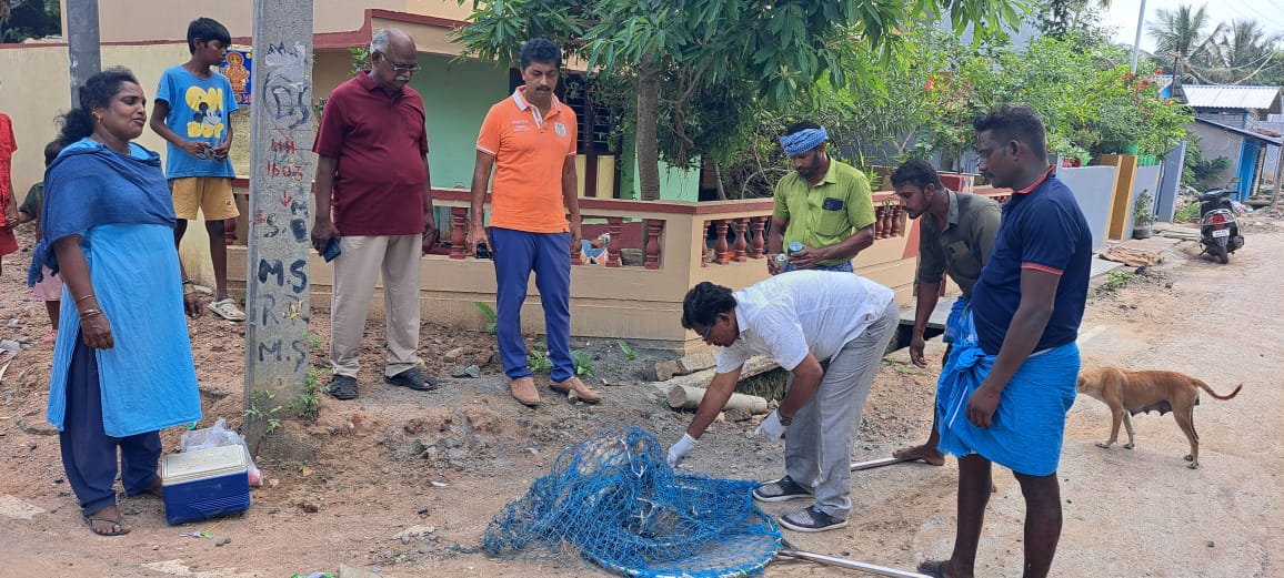 நாய்களுக்கு தடுப்பூசி போடும் பணியை ஆய்வு செய்த நகர மன்ற தலைவர்