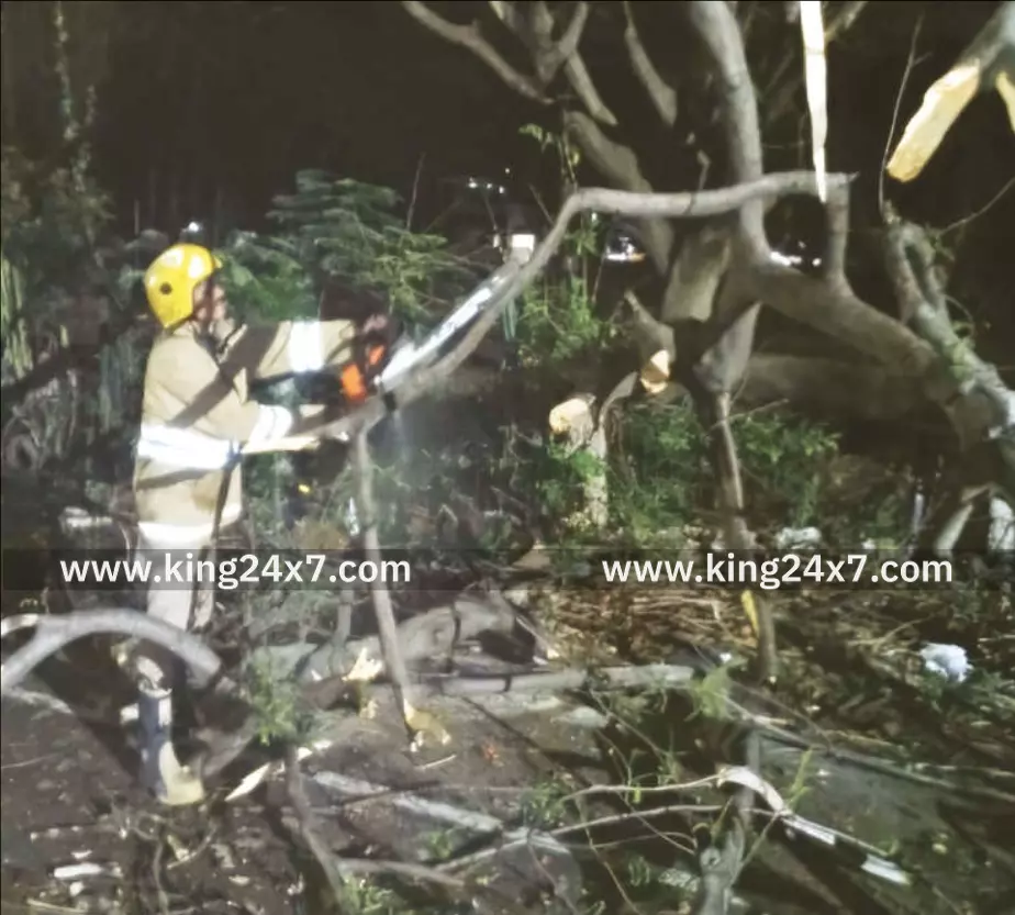 கோவை: மரம் விழுந்ததால் போக்குவரத்து பாதிப்பு !