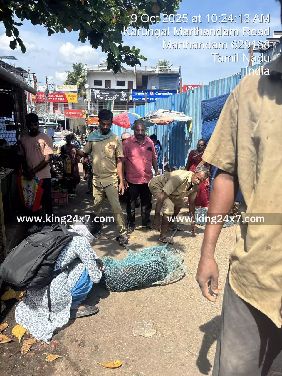 குழித்துறை : தெரு நாய்களுக்கு  தடுப்பூசி