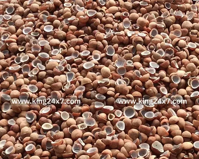 ஊத்தங்கரை:  ஒழுங்குமுறை விற்பனைக்கூடத்தில் கொப்பரை தேங்காய் ஏலம்.