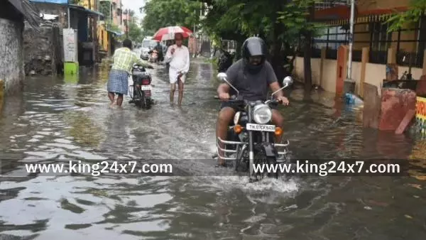 கடையநல்லூரில் பலத்த மழை: வீடுகளுக்குள் மழைநீா் புகுந்தது