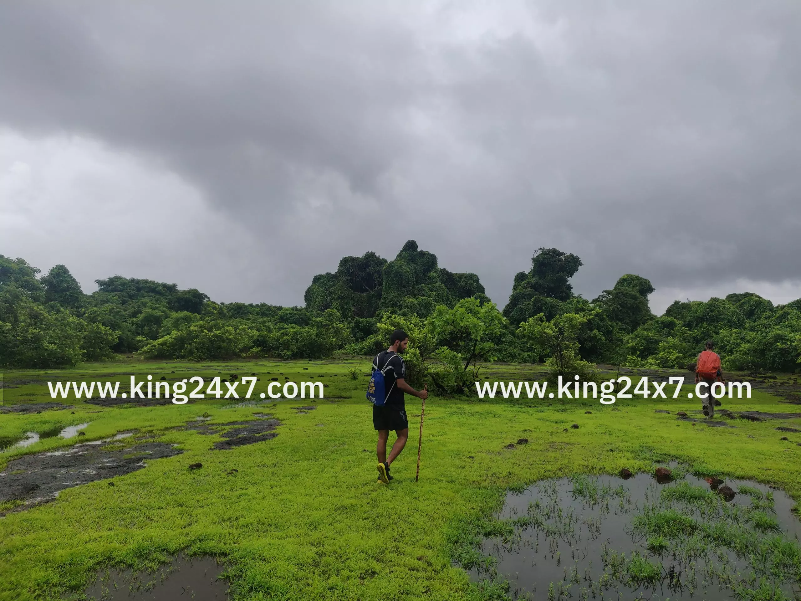 தென்காசி மாவட்டத்தில் வனப்பகுதிக்குள் அத்துமீறி நுழைந்து குளிப்பது குற்றம்’
