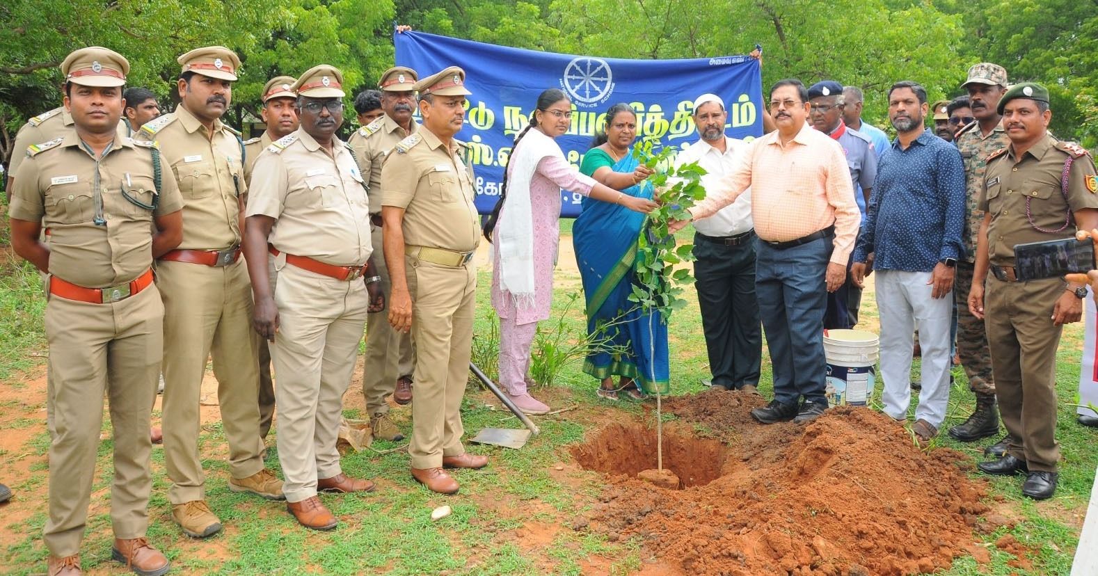பனை விதை நடவு செய்யும் பணி