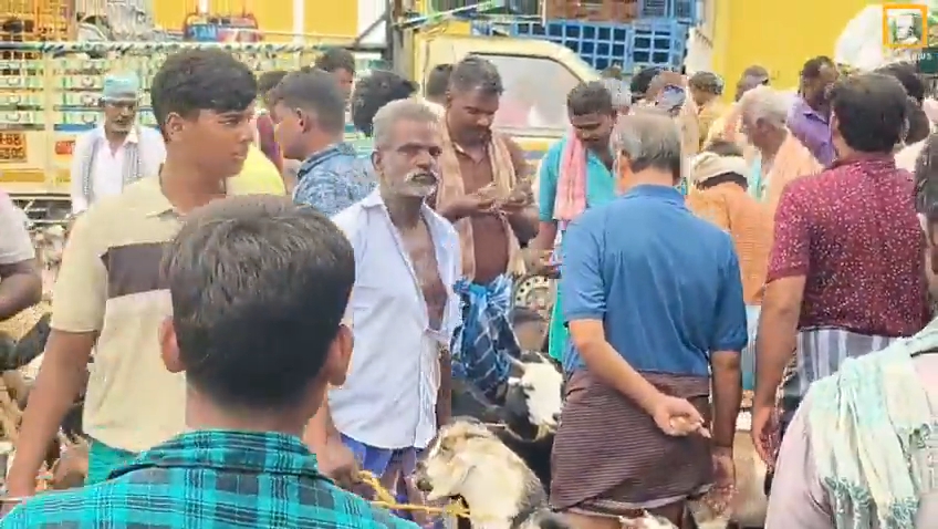 புதுகை ஆட்டு சந்தை கலை கட்டிய வியாபாரம்