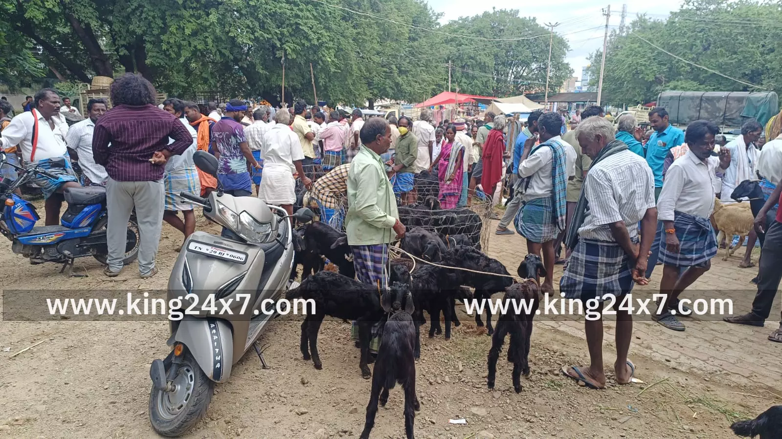 கம்பைநல்லூரில் ஆடுகள் விற்பனை அமோகம்