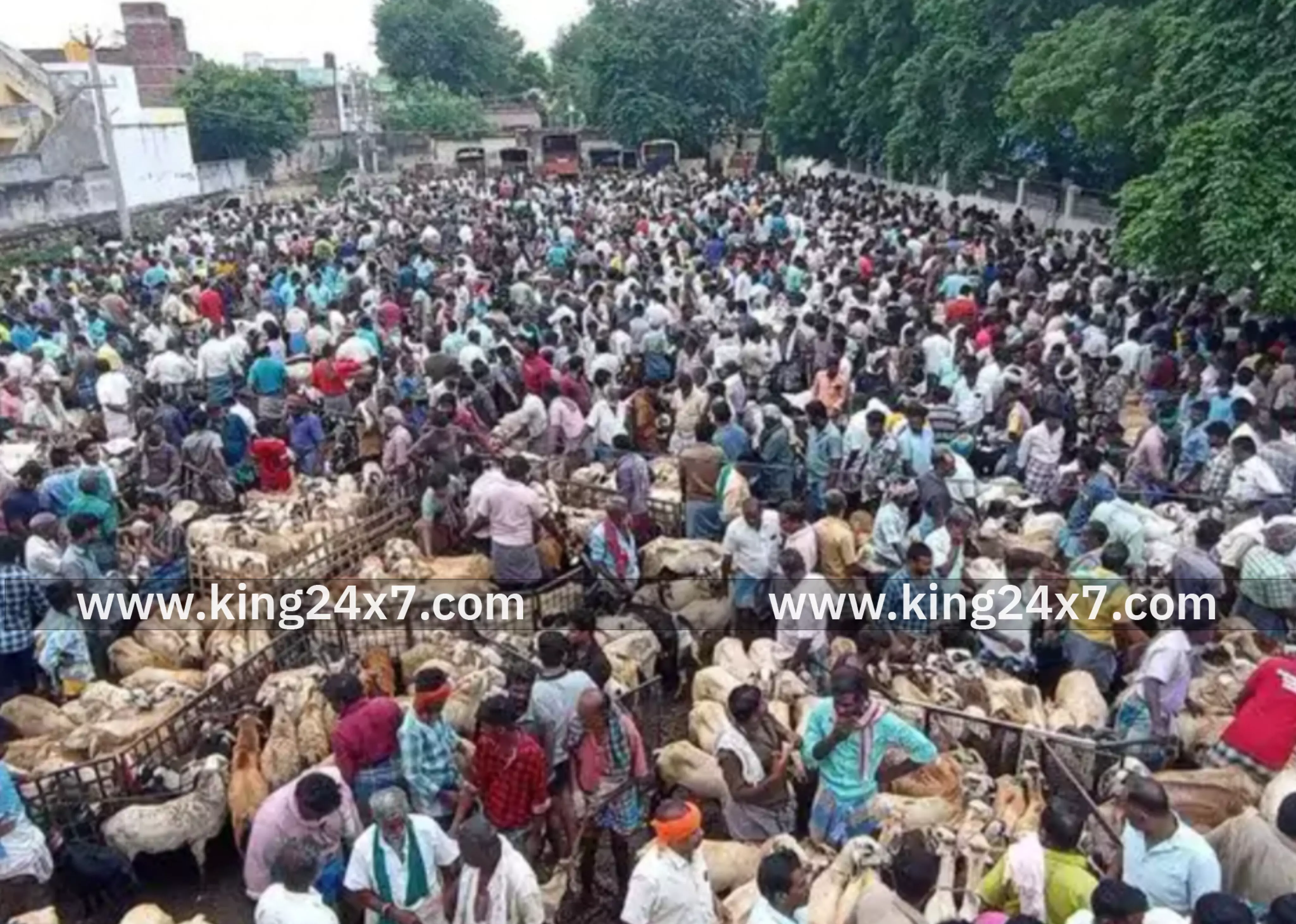 ஆட்டுச் சந்தையில் ரூ. 7 கோடிக்கு மேல் ஆடுகள் விற்பனை.