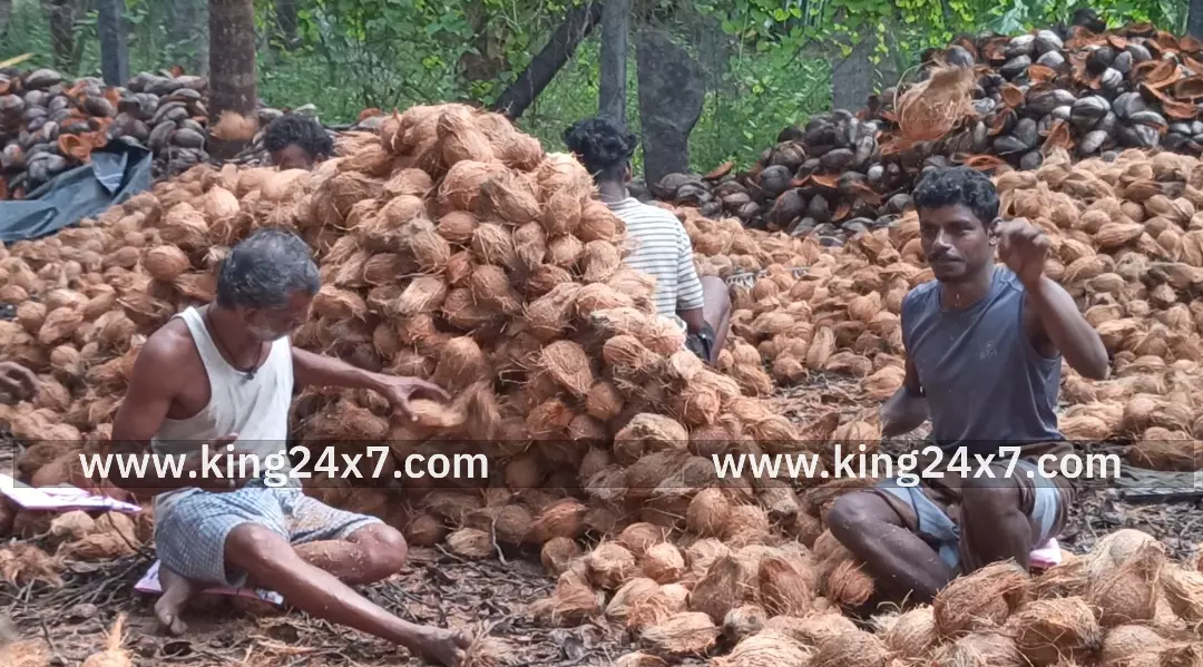 தீபாவளி பண்டிகை முன்னிட்டுபோச்சம்பள்ளி பகுதியில் தேங்காய் விற்பனை அமோகம்.
