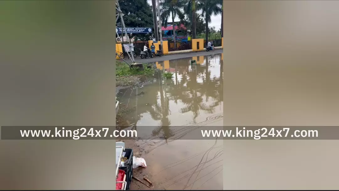 கோவையில் அரசு பணியாளர் காலனியில் மழை தண்ணீர் தேக்கம் ! கோவையில் அரசு பணியாளர் காலனியில் மழை தண்ணீர் தேக்கம் !