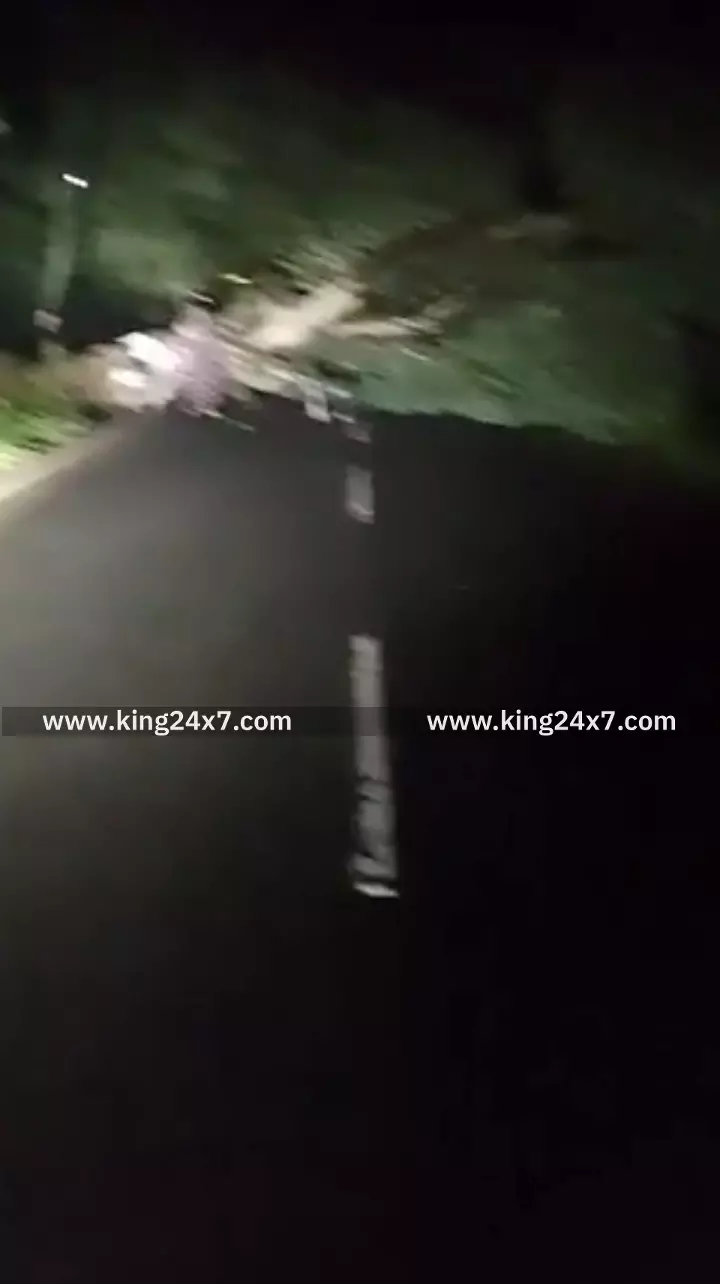 புதுக்கோட்டை செல்லும் சாலையில் போக்குவரத்து பாதிப்பு