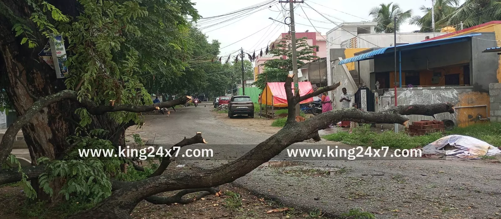 ஊத்தங்கரை: புளியமர கிளை மின்கம்பிகள் மீது விழுந்து மின்சாரம் துண்டிப்பு. ஊத்தங்கரை: புளியமர கிளை மின்கம்பிகள் மீது விழுந்து மின்சாரம் துண்டிப்பு.
