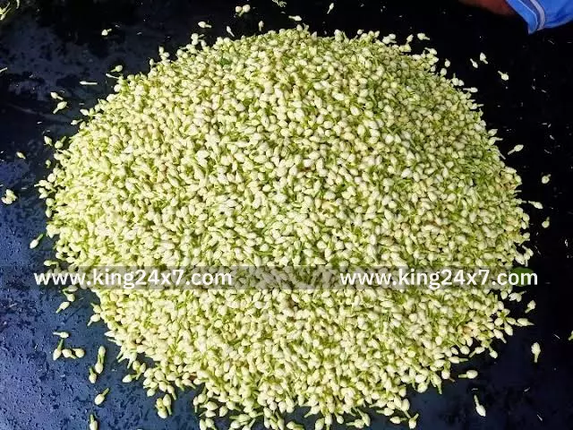 சங்கரன்கோவில் பூ மார்க்கெட்டில் இன்றைய விலை நிலவரம்