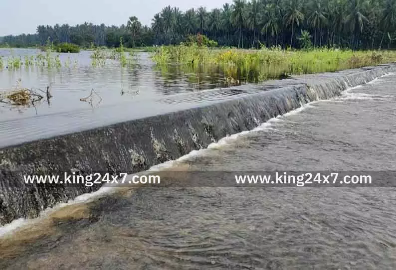 தொடர் பலத்த மழையினால் திருவேங்கடம் குளம் நிரம்பியது