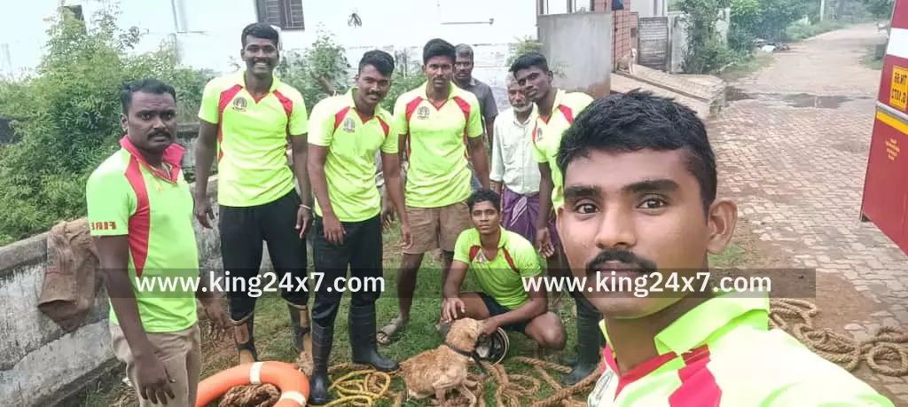 கோவையில் 100 அடி ஆழக் கிணற்றில் விழுந்த நாய் பத்திரமாக மீட்பு!